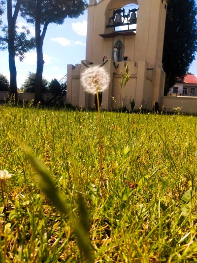 Wojsławickie Klimaty - galeria zdjęć